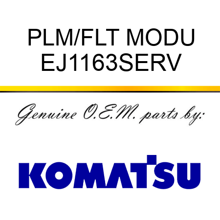 PLM/FLT MODU EJ1163SERV