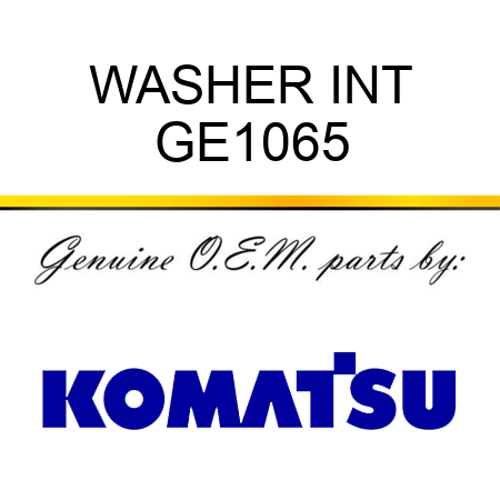 WASHER, INT GE1065