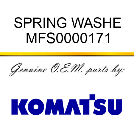 SPRING WASHE MFS0000171