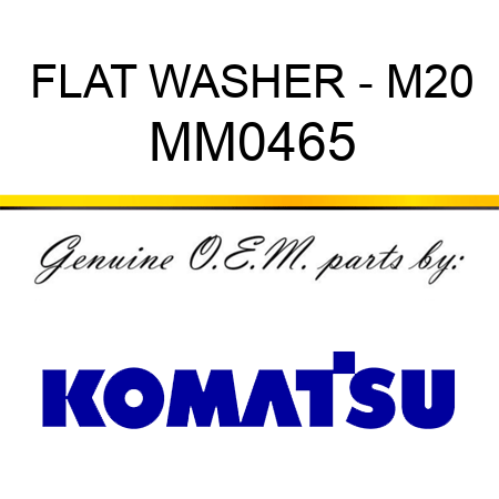 FLAT WASHER - M20 MM0465