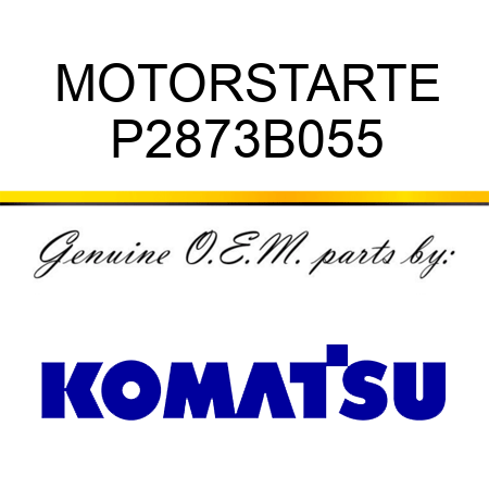 MOTOR,STARTE P2873B055