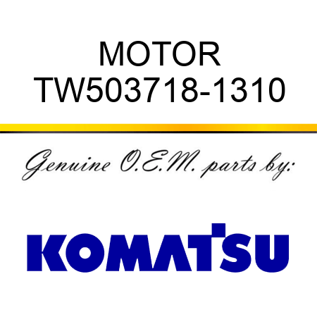 MOTOR TW503718-1310