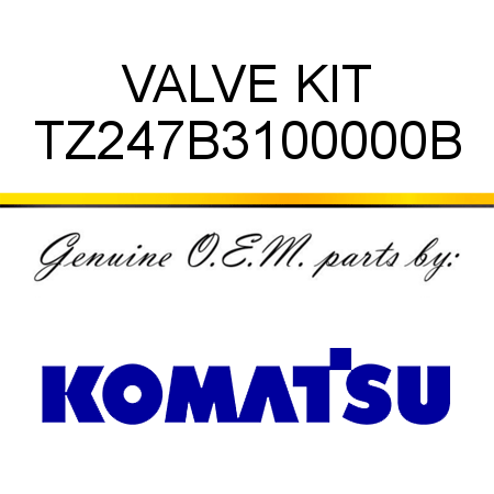 VALVE KIT TZ247B3100000B