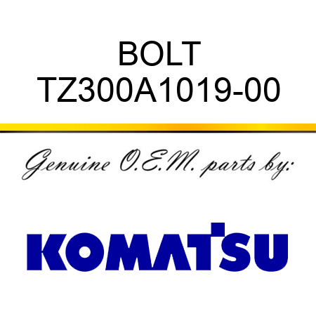 BOLT TZ300A1019-00