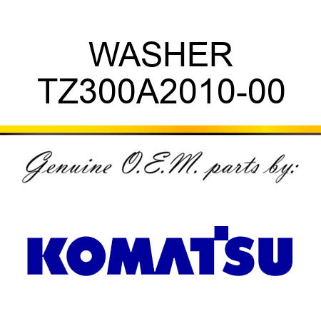 WASHER TZ300A2010-00