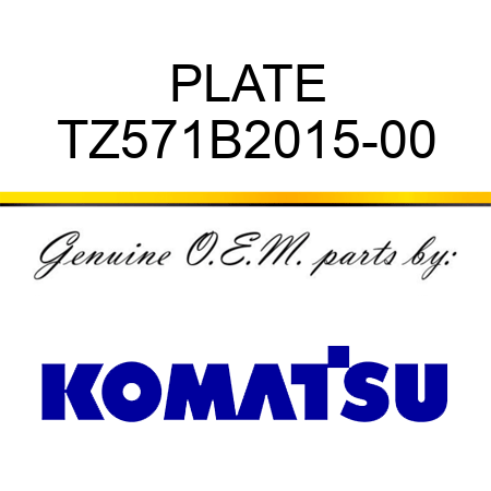 PLATE TZ571B2015-00