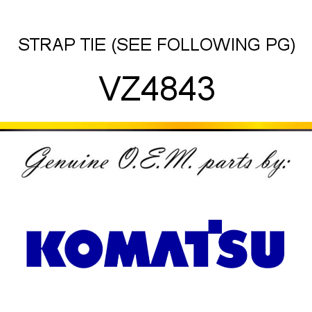STRAP, TIE (SEE FOLLOWING PG) VZ4843