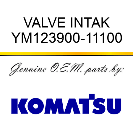 VALVE, INTAK YM123900-11100