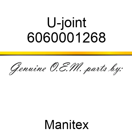 U-joint 6060001268
