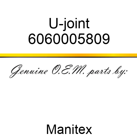 U-joint 6060005809