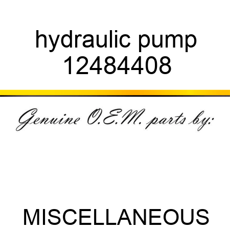 hydraulic pump 12484408