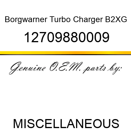 Borgwarner Turbo Charger B2XG 12709880009