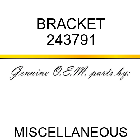 BRACKET 243791