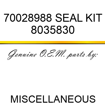 70028988 SEAL KIT 8035830