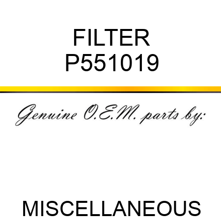 FILTER P551019