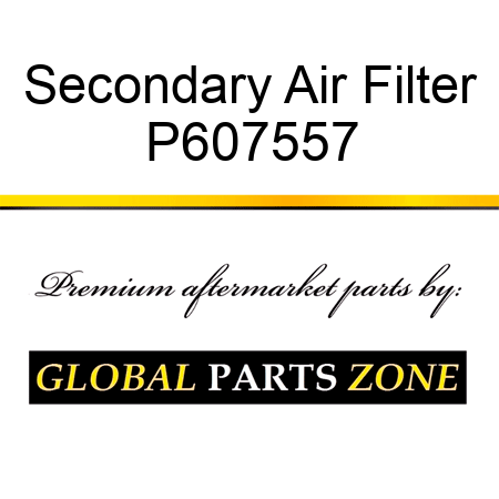 Secondary Air Filter P607557