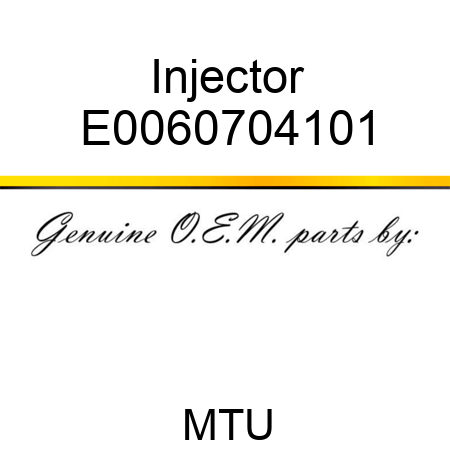 Injector E0060704101