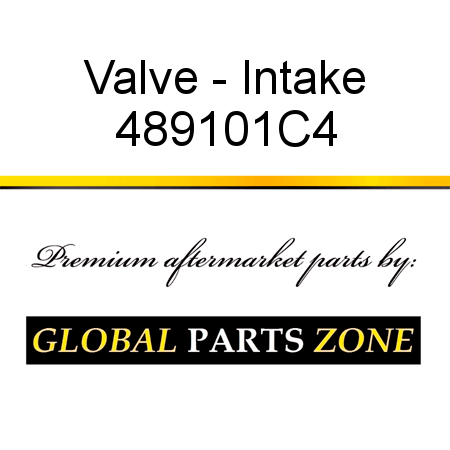 Valve - Intake 489101C4