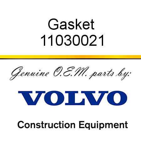 Gasket 11030021