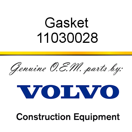 Gasket 11030028