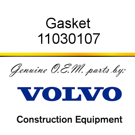 Gasket 11030107