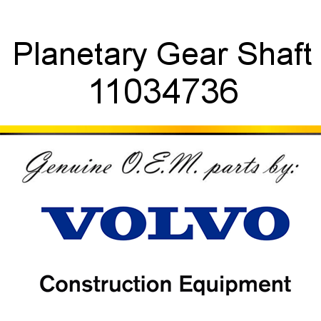 Planetary Gear Shaft 11034736