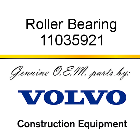 Roller Bearing 11035921