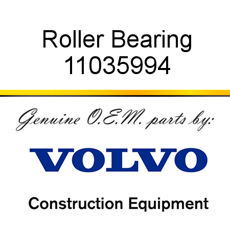 Roller Bearing 11035994