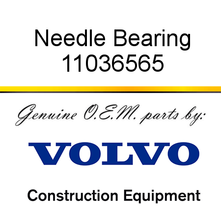 Needle Bearing 11036565