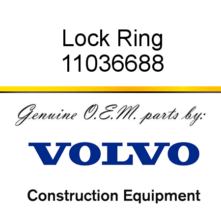 Lock Ring 11036688