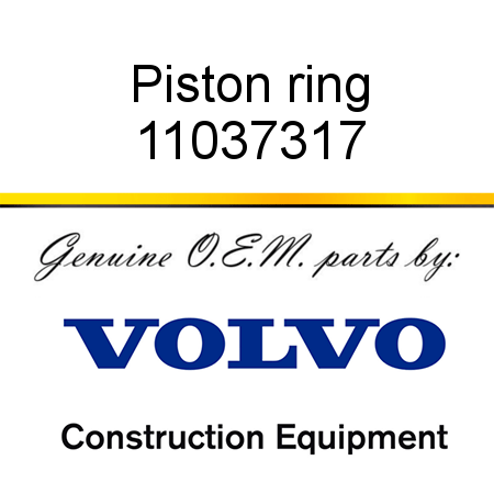 Piston ring 11037317