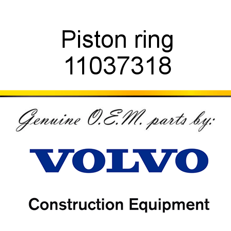 Piston ring 11037318