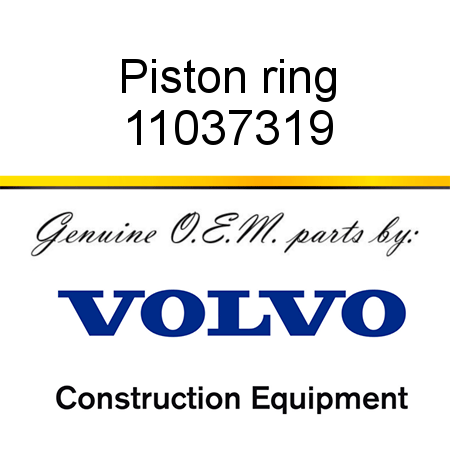 Piston ring 11037319