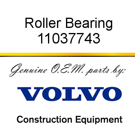 Roller Bearing 11037743