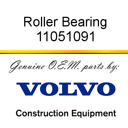 Roller Bearing 11051091