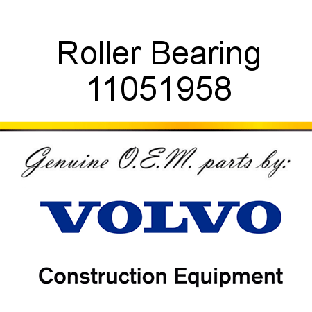 Roller Bearing 11051958