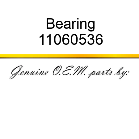 Bearing 11060536