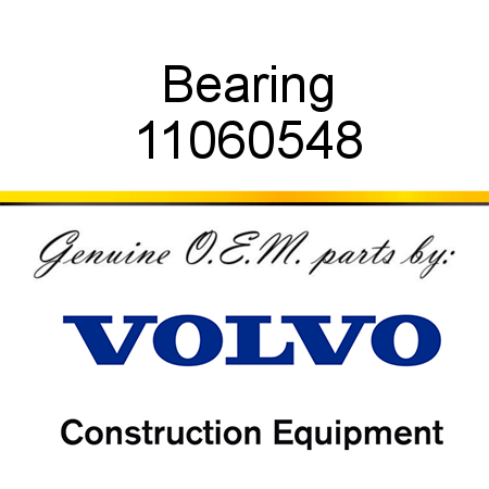 Bearing 11060548