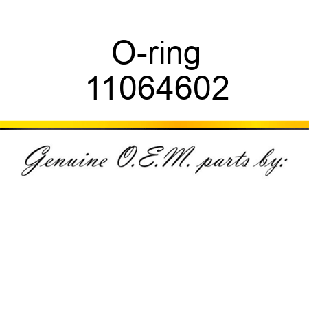 O-ring 11064602