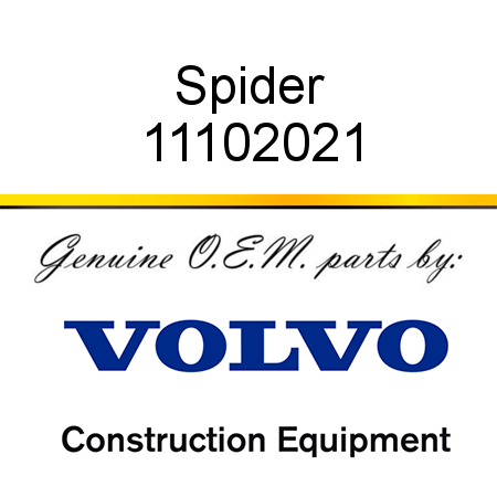 Spider 11102021