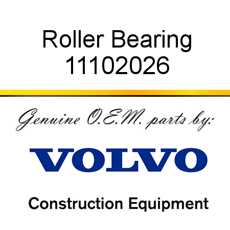 Roller Bearing 11102026