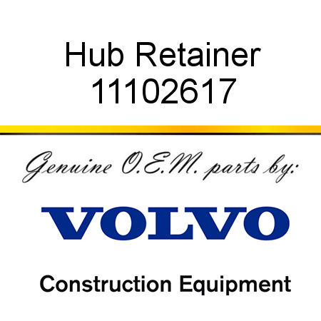 Hub Retainer 11102617