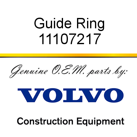 Guide Ring 11107217
