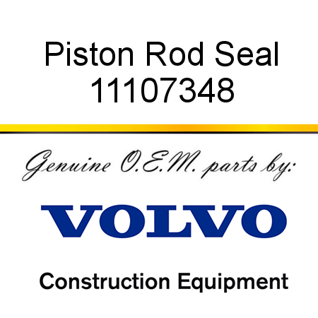 Piston Rod Seal 11107348