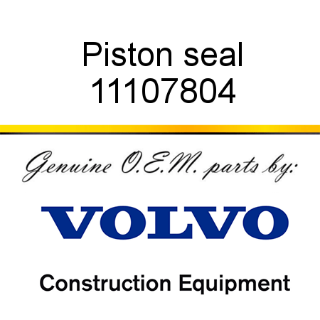 Piston seal 11107804