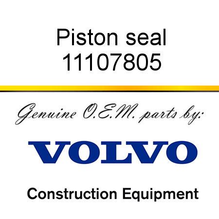 Piston seal 11107805