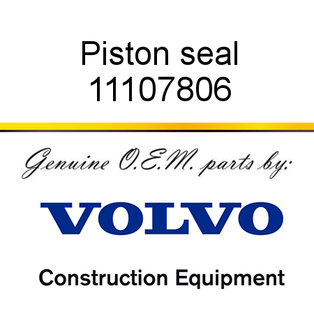 Piston seal 11107806