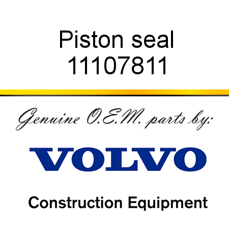 Piston seal 11107811