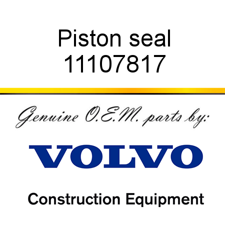 Piston seal 11107817