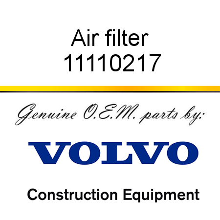 Air filter 11110217